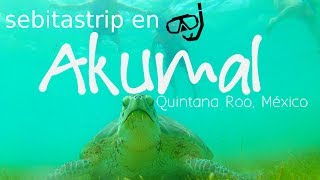 Akumal Lugar de Tortugas  Tulum ¿cuánto me gasté  sebitastrip [upl. by Dowd632]