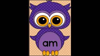 Learn 10 Dolch Primer Sight Words with Purple Owl Theme Set 2  Fall Sight Word Practice for K2 [upl. by Barnabas]