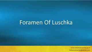 Pronunciation of the words quotForamen Of Luschkaquot [upl. by Zebada]