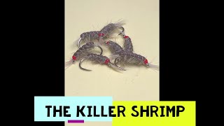 Tying the Grafham Killer Shrimp fly [upl. by Dorthy]