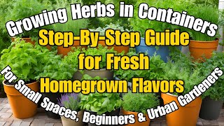 Growing Herbs in Containers StepbyStep Guide for Fresh Herbs YearRound ecogrowcommunity [upl. by Luas257]