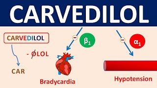 Carvedilol  Mechanism precautions side effects amp uses [upl. by Meghan]