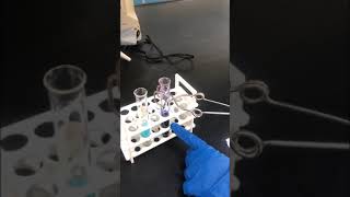 10 Biuret test for proteins and amino acids [upl. by Nylatsirhc]