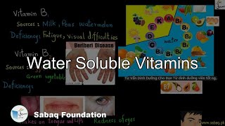 Water Soluble Vitamins Chemistry Lecture  Sabaqpk [upl. by Polly]