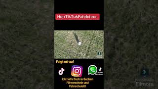 Folgt mir gerne auf TikTok Instagram YouTube und jetzt NEU auf WhatsApp [upl. by Llevert796]