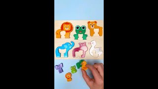 Baby Animals Names amp Facts For Toddlers kidslearning [upl. by Gilmour816]