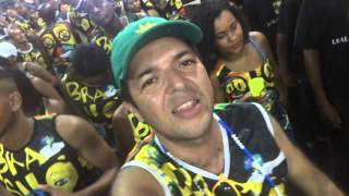 Olodum  ÁrvoreSinfonia dos Deuses  Carnaval 2016  Bloco Olodum  Domingo [upl. by Mehalick908]