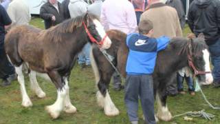 BALLINASLOE HORSE FAIR 2011 [upl. by Htes]