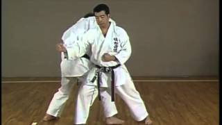 SKIF Jiyu Ippon Kumite [upl. by Jaala]