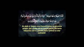 Beautiful Quran Recitation with Turkish Translation I Surah Al Baqarah 3739 I Wadee Al Yemeni [upl. by Healey471]