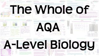 The Whole of AQA ALevel Biology  Exam Revision for Papers 1 2 and 3 [upl. by Sundberg646]