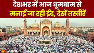 EidalAdha 2023 Delhi Mumbai Bhopal समेत देश के कई हिस्सों में अदा की गई नमाज देखे नज़ारा [upl. by Nessim]