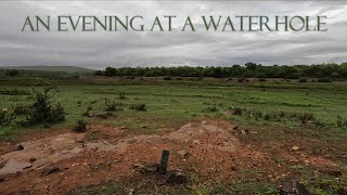 An evening at a waterhole  Vlog 4 [upl. by Suzanne744]