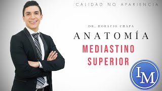 Anatomía  Mediastino Superior [upl. by Jedd626]