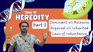 Class X Heredity Part 2 Traits and Laws of Inheritance [upl. by Larentia]