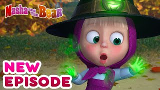 Masha and the Bear 2024 🎬 SPECIAL EPISODE 🎬 Best cartoon collection 👱🏻‍♀️ Say Cheese 💐 [upl. by Risteau]