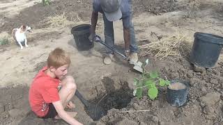 Taste testing compost tea Adding bio charr to swamp water [upl. by Huda]