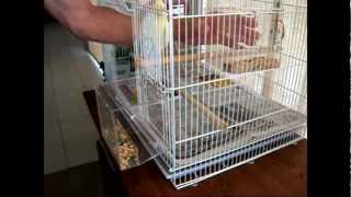 Tidy Seed NoMess Bird Feeder Full Demonstration [upl. by Paulette587]