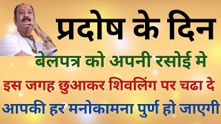 प्रदोष के दिन अपने रसोइघर से बेलपत्र ले जाकर शिवलिंग पर इस तरह समर्पित कर दिजिये [upl. by Gelasias]