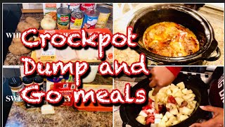 WHAT’S FOR DINNER  Crockpot Dump and Go  QUICK And Easy Crockpot RECIPE  VLOGMAS DAY 6 [upl. by Retseh]