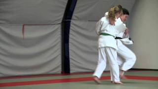 JUDO BAN SAINT MARTIN  Cours femmes expertes 20100612 [upl. by Harelda163]