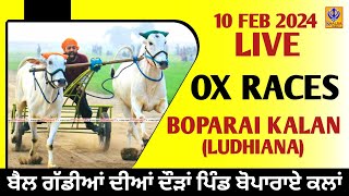 🔴Live Boparai Kalan  Ludhiana  Ox Races  10 Feb 2024 [upl. by Ayanet]