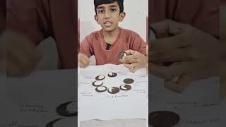 Phases of moon activity  SCIENCE  creative spot [upl. by Ara]