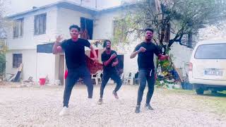 Goya Menor amp Nektunez  Ameno Amapiano Remix Dance VideoDynamic African Acrobatics Ghana [upl. by Woody]