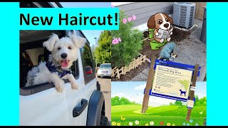 Snoopy gets a haircut Bathroom makeover Visits Doggy Disneyland [upl. by Arley]