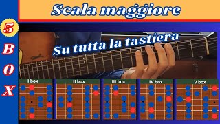 5 box scala maggiore chitarra [upl. by Ssidnak489]