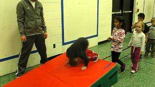 PE Somersault Lesson Kindergarten [upl. by Raeann486]