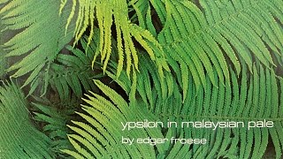 Edgar Froese  Epsilon In Malaysian Pale Original CD [upl. by Antipus]