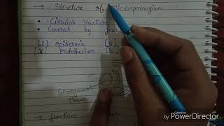 L01 Reproduction in flowering plants class 12 explain in hindi [upl. by Lozano]