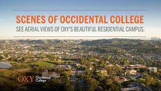 Scenes of Occidental [upl. by Nelleyram]