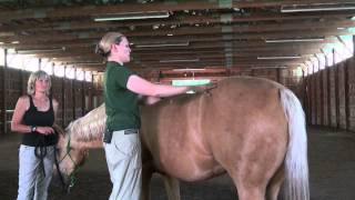 Denise Bean Raymond Demonstrates Equine Massage June 23 2013 Part 3 [upl. by Odlonyer133]