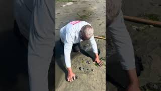 Clamming for steamers in Barnegat Bay [upl. by Nedrud956]