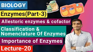 Biology Lecture20 Enzymespart3Allestoric enzyme Classificationnomenclature amp Importance [upl. by Rotkiv279]