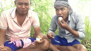 New cooking recipe from PCN Team  Two brothers cooking duck egg with coconut  Eating Delicious [upl. by Ssegrub]