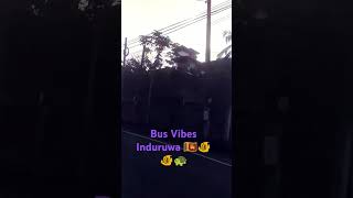 Bus vibes induruwa srilanka bus fish fishing actress love shortsvideo shortsfeed sasha 🇱🇰 [upl. by Bresee242]