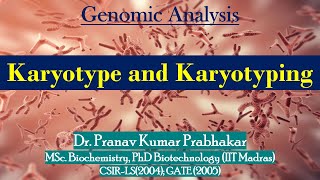 Karyotype and Karyotyping [upl. by Ertnod]