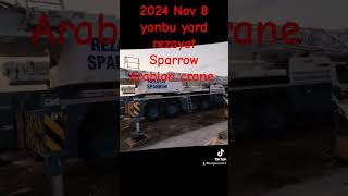 2024 yanbu yard rezayat Sparrow Arabian crane [upl. by Notslah752]