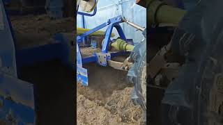 Hongyou Agricultural Machinery Stone Picker Harvester Su Ping Sweet Potato High Yield Planting [upl. by Duffie]