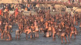 Best of Allahabad Kumbh mela  Worlds largest religious gathering [upl. by Bille]