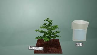 Français Larrosage des plantes méthode et fréquence [upl. by Ahsyt]