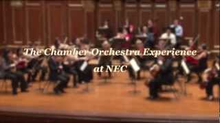 The Chamber Orchestra Experience at NEC [upl. by Kimberly248]