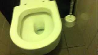 PRESTO Sensor Flushometer and ROCA toilet [upl. by Lipski]