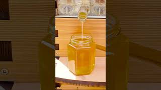 Beginner Beekeeping Live QampA with Cedar [upl. by Zannini]