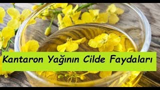 Kantaron Yağının Cilde Faydaları [upl. by Bulley]