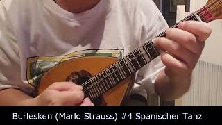 【Mandolin】Burlesken Marlo Strauss “4 Spanischer Tanz” [upl. by Nylteak]