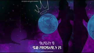 Bushy B  She Probably Is Audio [upl. by Oza]